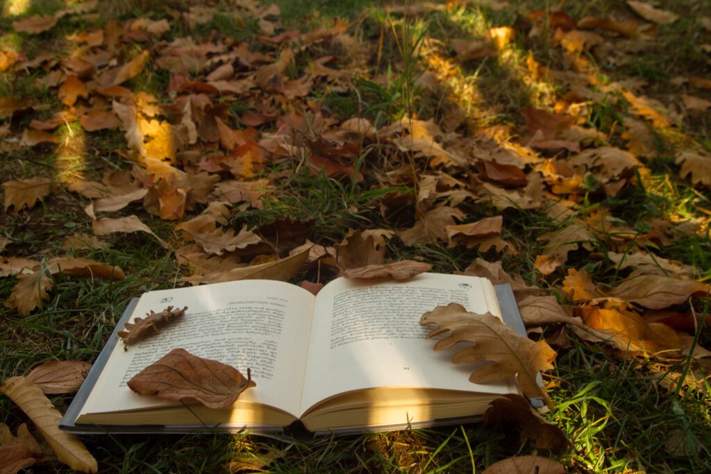 Задрожали листы, облетая: 7 книг для осеннего чтения