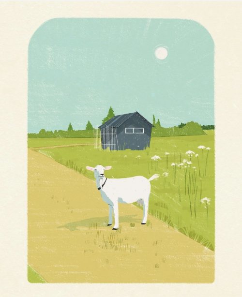Иллюстрация коза на природе