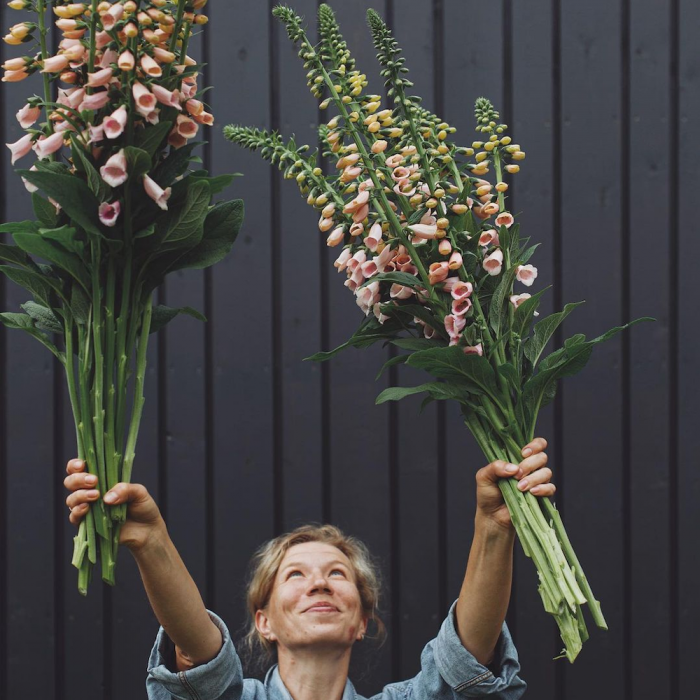 Наталья Лавруша, цветочная ферма Натальи Лавруши, девушка с букетом в руках, букеты цветов, наперстянка